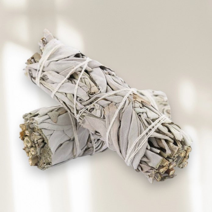 Bâton de sauge blanche californienne