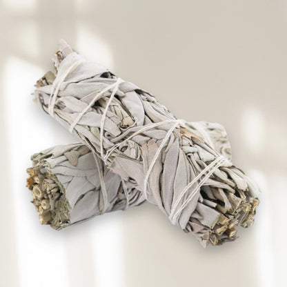 Bâton de sauge blanche californienne